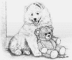 image of animated Samoyed and Teddy bear