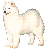 gif image of Samoyed